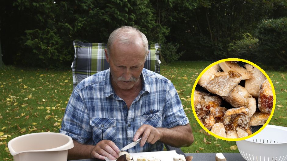 Unikaj tych błędów podczas mrożenia grzybów