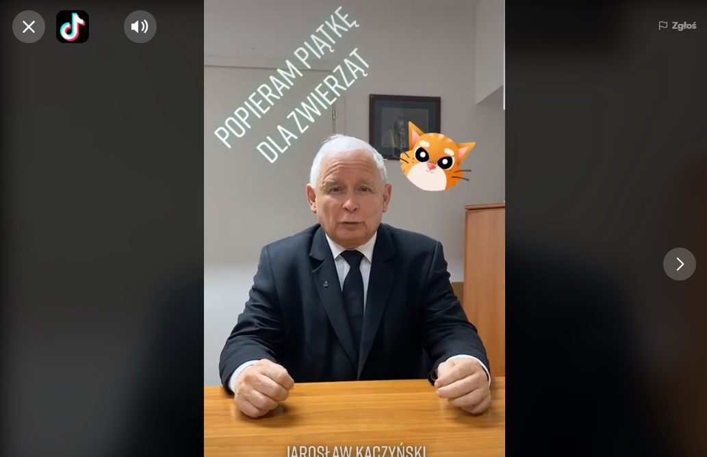 Kaczyński na TikToku wzywa do poparcia ustawy. PiS rusza z akcją #StopFurChallenge