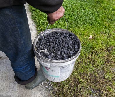 Nawet 2200 zł za tonę. Sprawdziliśmy ceny ekogroszku