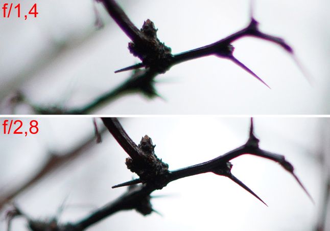 Te wycinki z prezentowanych niżej zdjęć, pokazują osiową aberrację chromatyczną dla otwartej przysłony oraz f/2,8. Całkowicie znika ona dopiero przy f/5,6.© Paweł Baldwin
