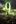 9-movie-official-poster-fullsize