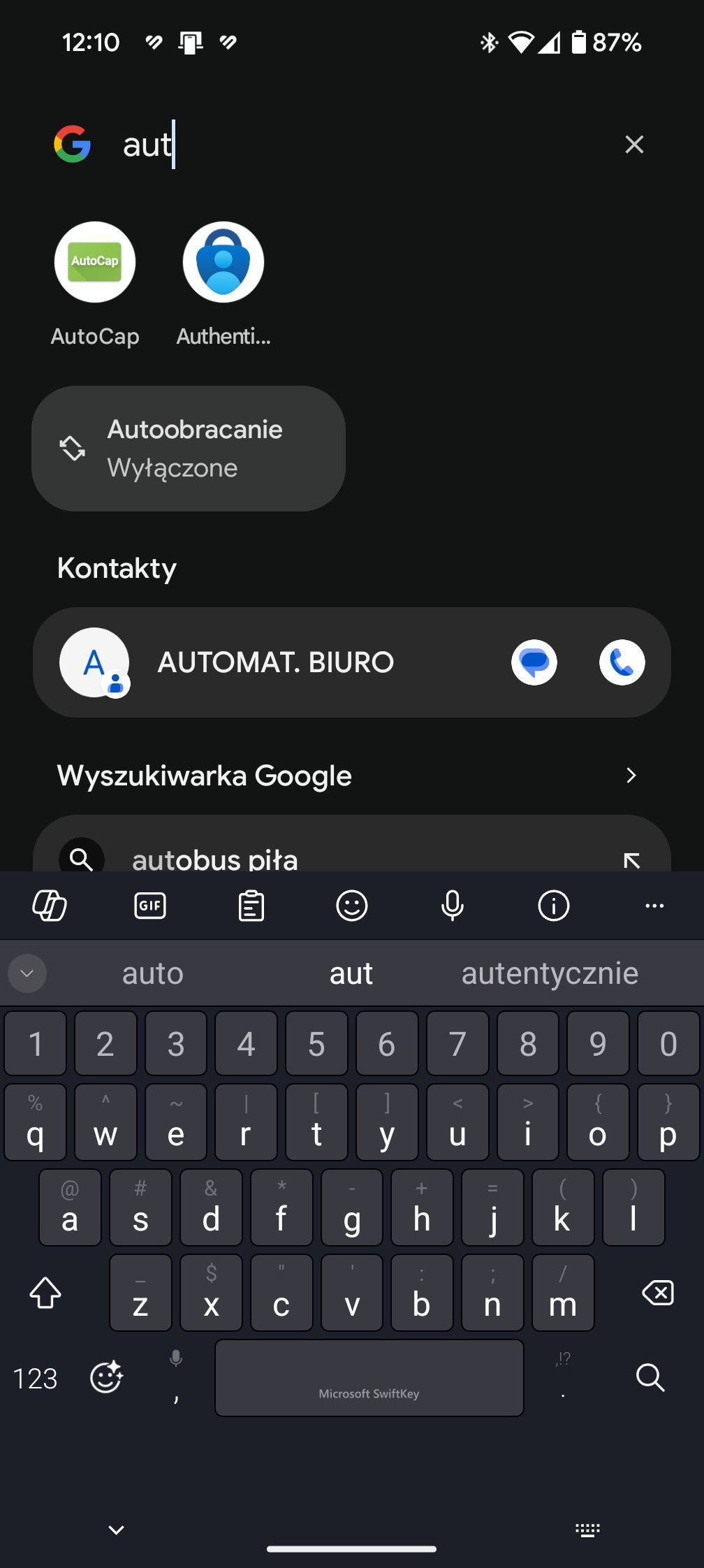 Obraz