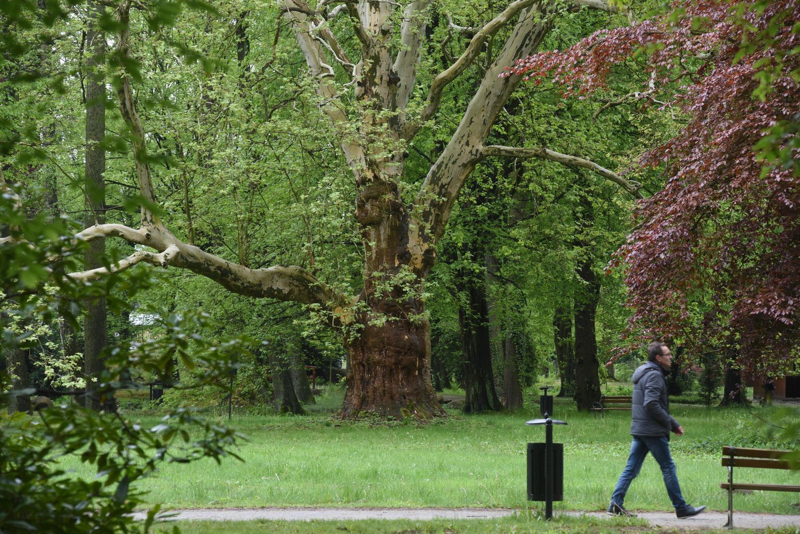 16.05.2019. ILOWA ZAGANSKA PARK DWORSKI ZESPOL PALACOWO PARKOWY PALAC PARK W ILOWEJ 
FOT. MARIUSZ KAPALA / GAZETA LUBUSKA / POLSKA PRESS