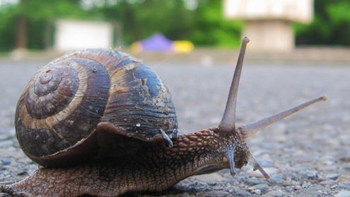 Twoje Menu Start działa wolno? Zmień to w trzy minuty 1