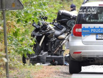 Wólka Magierowa: Zderzenie motocyklisty z łosiem. Kierujący był reanimowany, pasażerka w stanie krytycznym