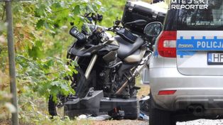 Wólka Magierowa: Zderzenie motocyklisty z łosiem. Kierujący był reanimowany, pasażerka w stanie krytycznym