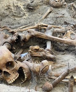 Warszawa. Znów ponure żniwo w "Toledo". IPN odnalazł szczątki kolejnych czterech osób