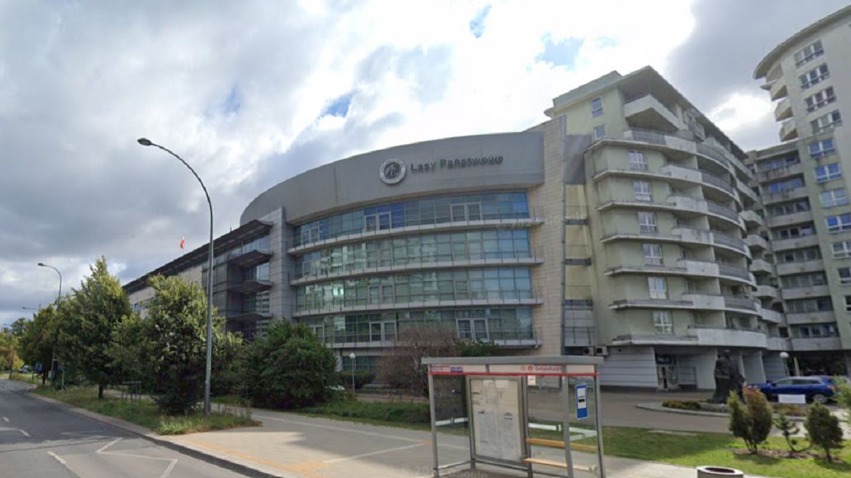 Były dyrektor Lasów Państwowych usłyszał prokuratorskie zarzuty