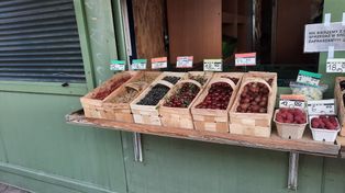 Łódź: Sezon owocowy w pełni, warto wybrać się na rynek po prawie zapomniane owoce nie tylko na kompot. Ile kosztuje kilogram nietypowych owoców?