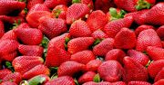 Pierwsze polskie truskawki już w sprzedaży. Ale ta cena!