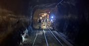 Głęboko pod ziemią kwitnie życie. Znaleziono je nawet 4,3 km pod powierzchnią