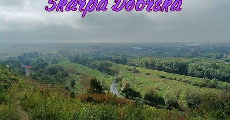 Rezerwat Przyrody Skarpa Dobrska