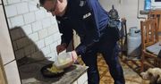 Kurów: Policjanci wsparli seniora w codziennym funkcjonowaniu