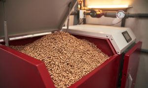 Biomasa i pompy na topie. Czym dziś ogrzewamy domy?