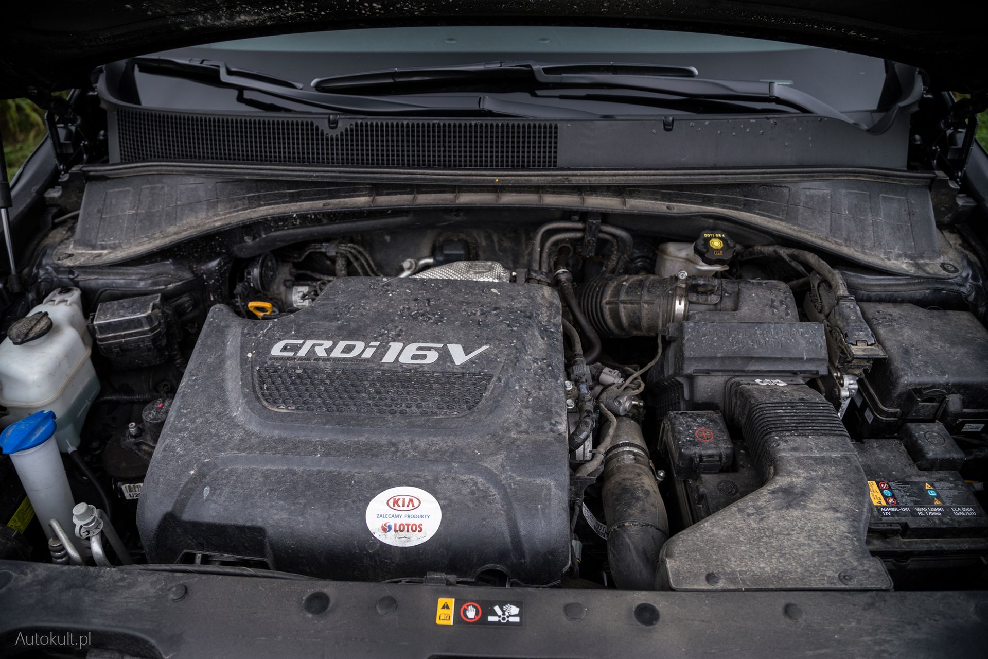 Kia Sorento 2.0 4WD AT XL (2017) (fot. Mateusz Żuchowski)