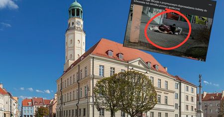Odmówiła pomocy MOPS-u. Ten nasłał na nią sąd
