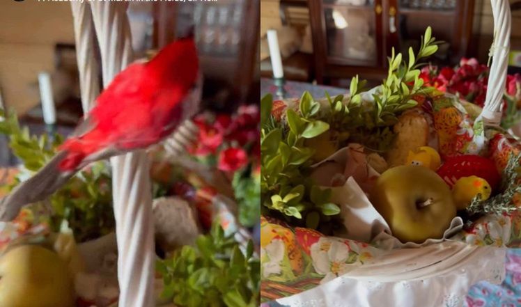 Wielkanoc 2024. Gwiazdy pozują z koszyczkami i nie tylko