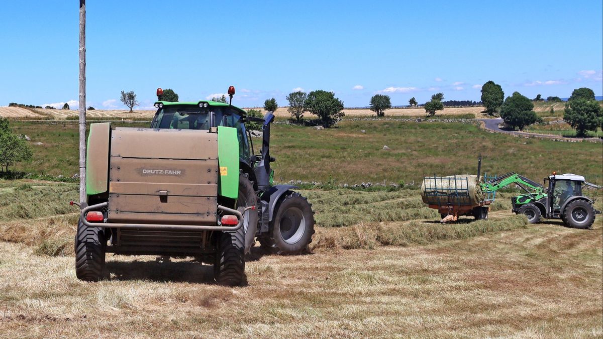 Kontrole na wsiach. Rolnicy mogą stracić dopłaty