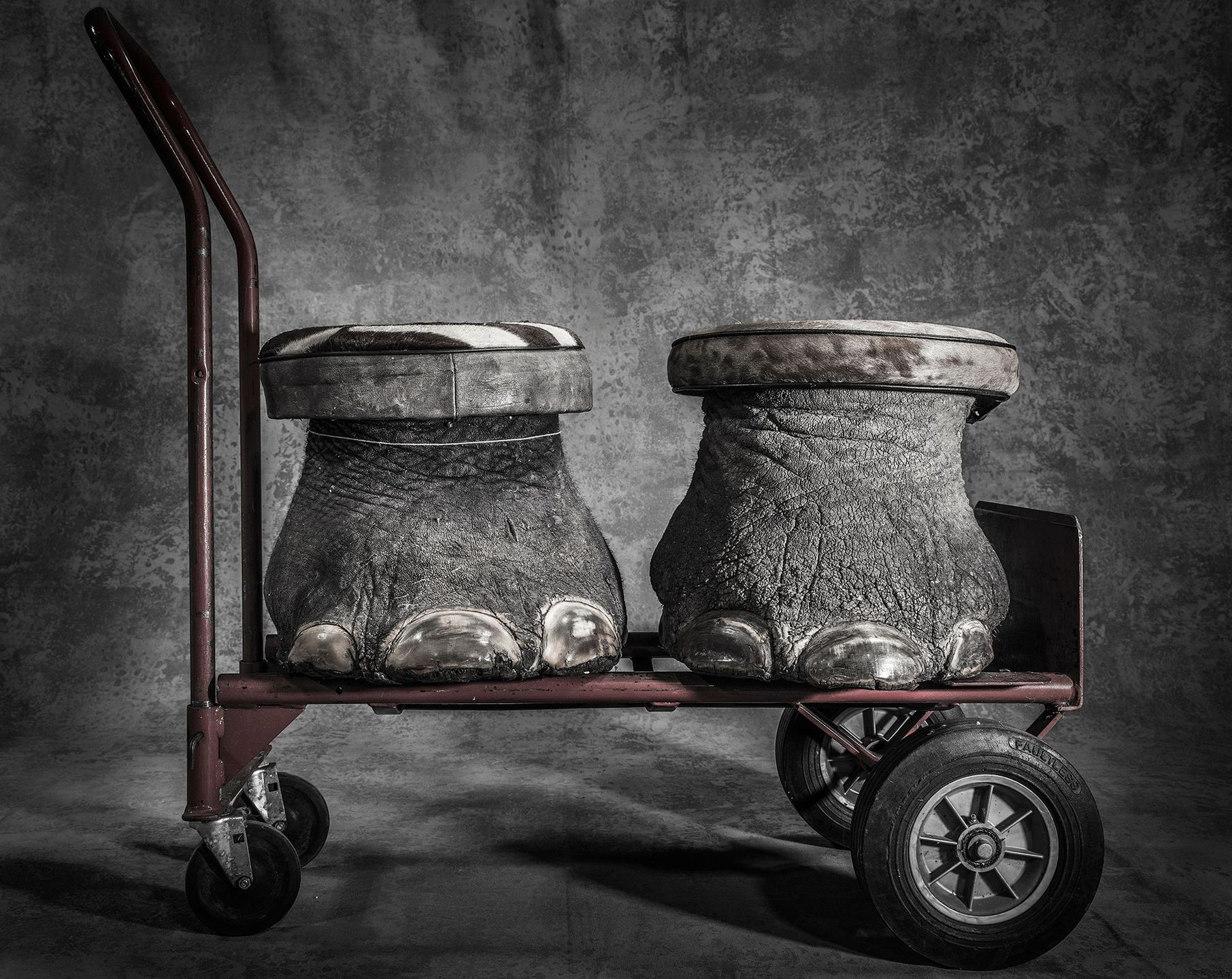 Dwóch Polaków wśród zwycięzców prestiżowego konkursu Magnum Photography Awards 2017 35