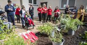 Lublin: Lubelskie Ogrody Społeczne zapraszają na spotkanie twórców, mieszkańców i przyszłych ogrodników