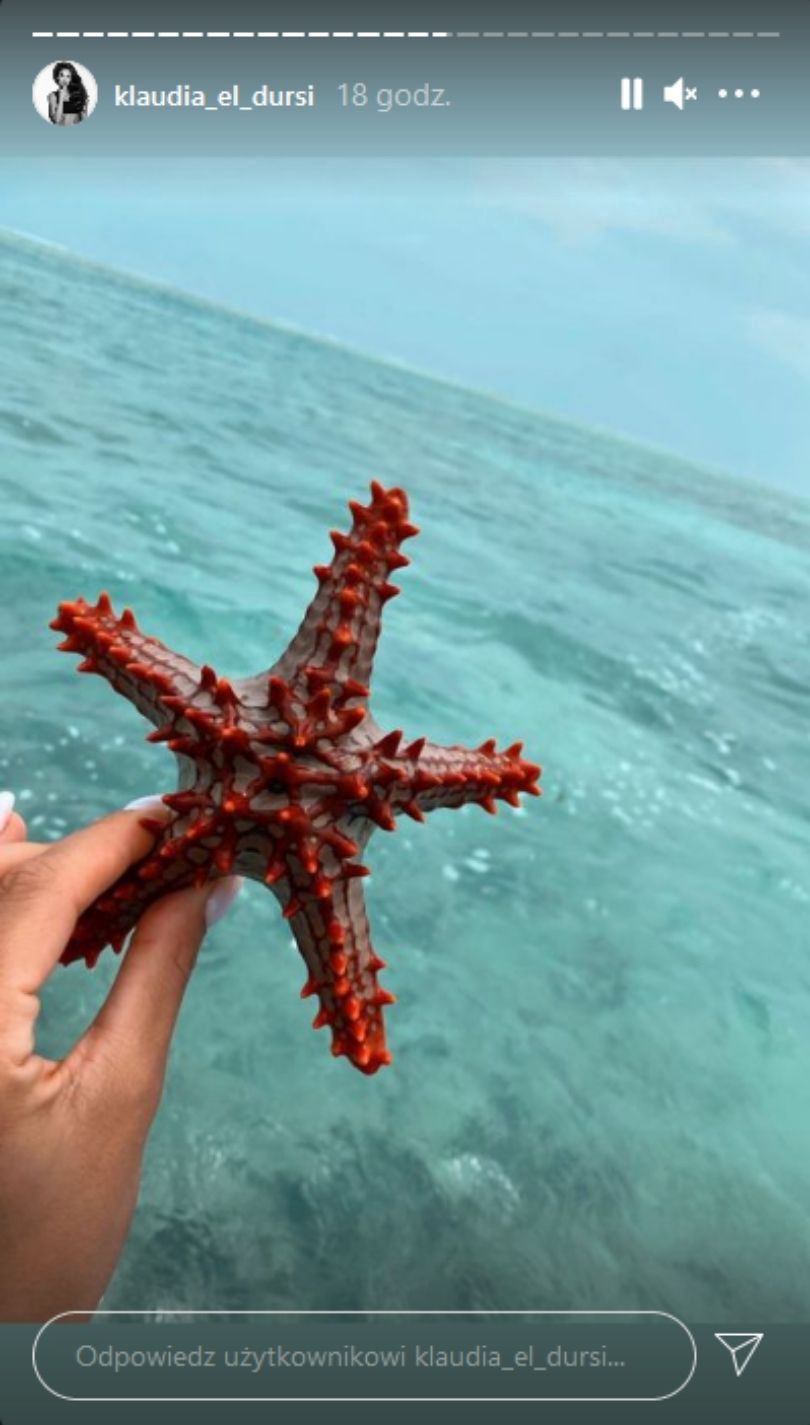 Klauda El Dursi relacjonuje rodzinne wakacje na Zanzibarze i robie zdjęcia rozgwiazdom