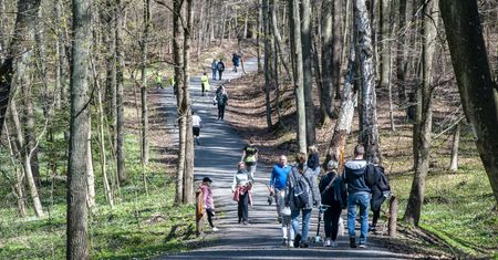 Protest w Łodzi. Wycinka lasu pod budowę hal i magazynów