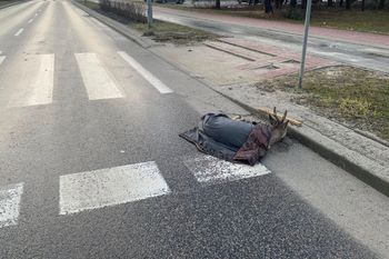 Ranny i porzucony. Leżał przy samym przejściu. Sprawca uciekł