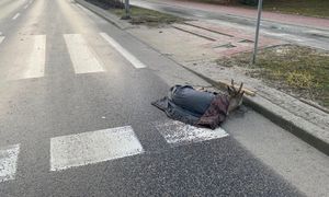 Ranny i porzucony. Leżał przy samym przejściu. Sprawca uciekł