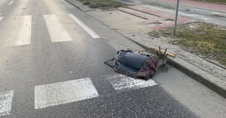Ranny i porzucony. Leżał przy samym przejściu. Sprawca uciekł