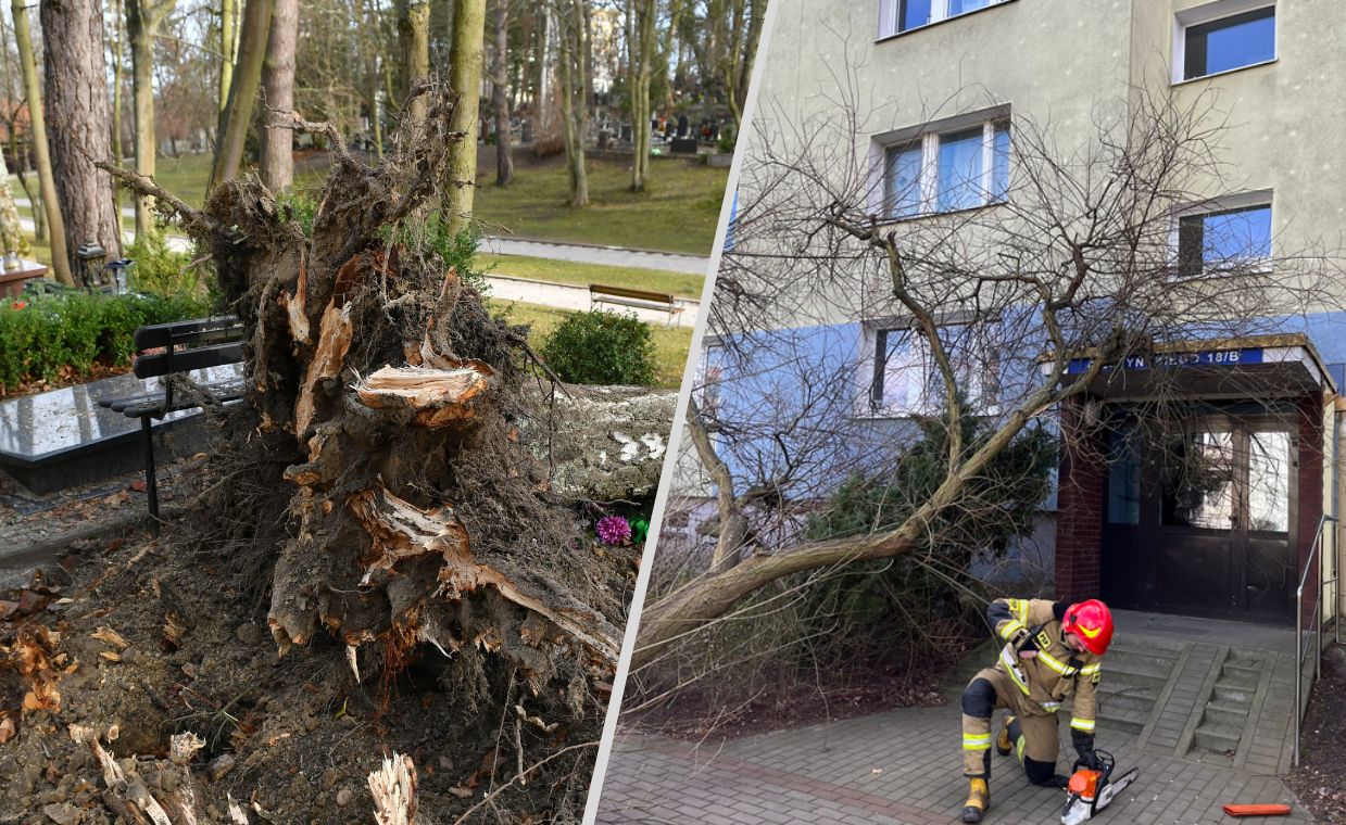 Najwięcej interwencji było na Pomorzu