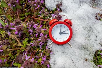 Zmiana czasu na letni 2026. W którą stronę przestawiamy zegarki?