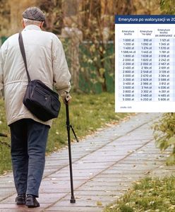 Emerytalna tabela. Oto jak wzrosły świadczenia wypłacane Polakom