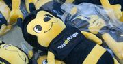 Zamość: Ruszył pierwszy etap wyścigu kolarskiego Tour de Pologne Women