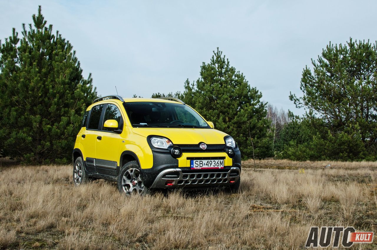 Fiat Panda Cross 4x4 - galeria testowa