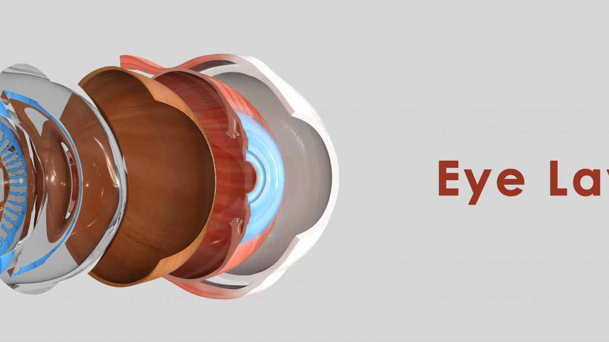 Choroby związane z ZSO