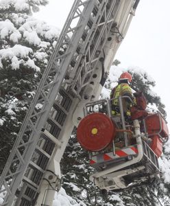 Armagedon. Dużo zniszczeń po ataku zimy