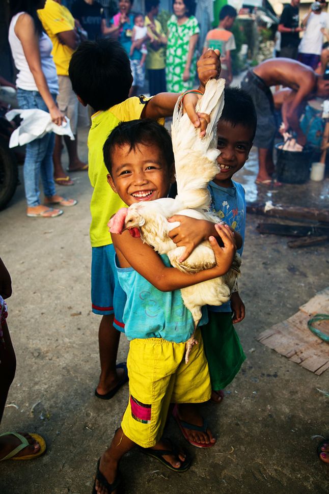 “Chłopiec z kurą”. Zdjęcie zostało zrobione na Filipinach, na wyspie Bantayan w 2013. Wyspa ta słynęła z kurzych farm, które po tajfunie Yolanda w listopadzie 2013 zostały zniszczone, a kury masowo sprzedawano na ulicach po 20 peso za sztukę. Na zdjęciu widzimy chłopców, którzy bawią się kurą, a w tle mężczyzne który je skubie w czarnym wiadrze.