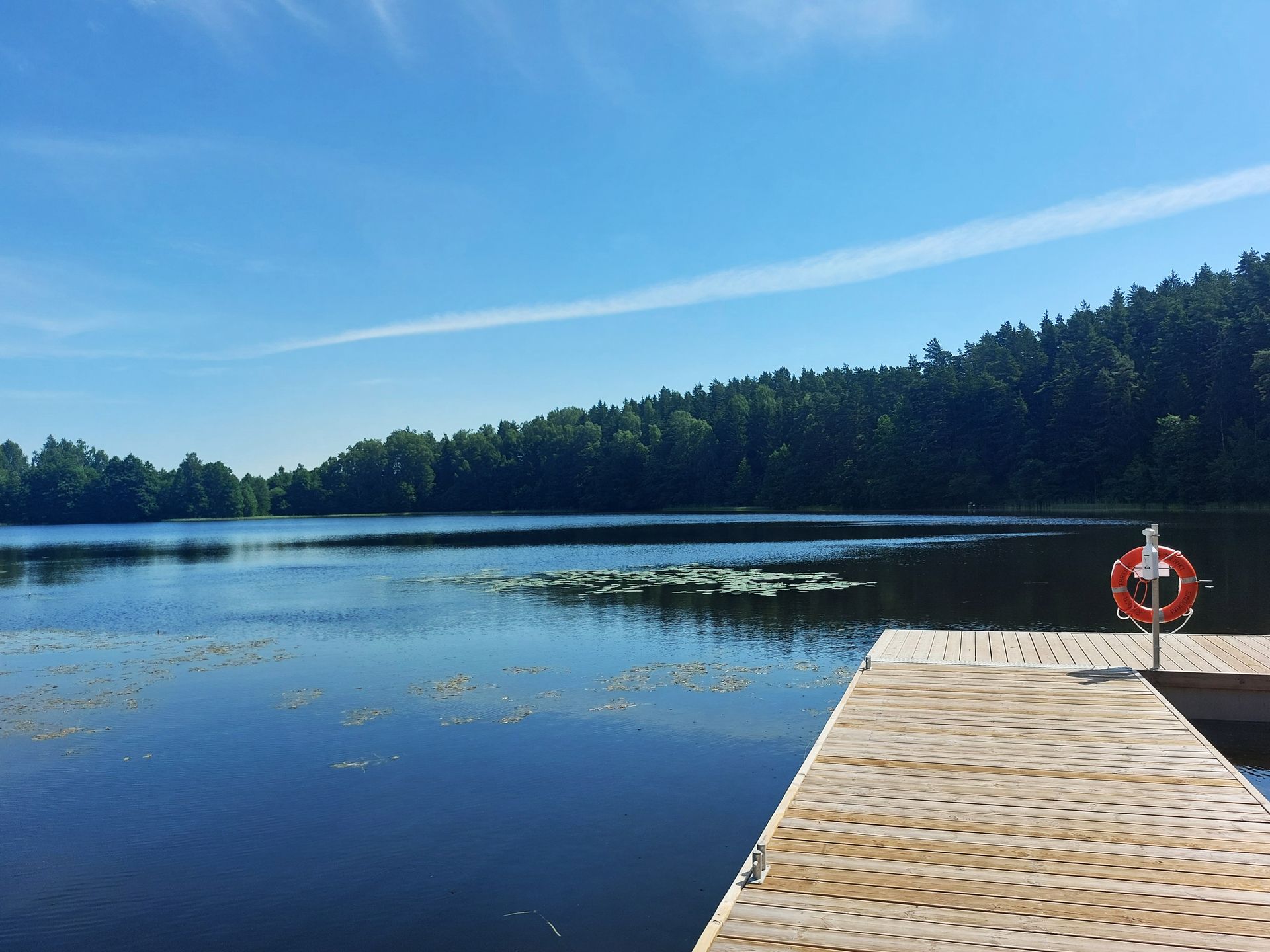 Jezioro Czarne w Smolnikach to prawdziwa perełka