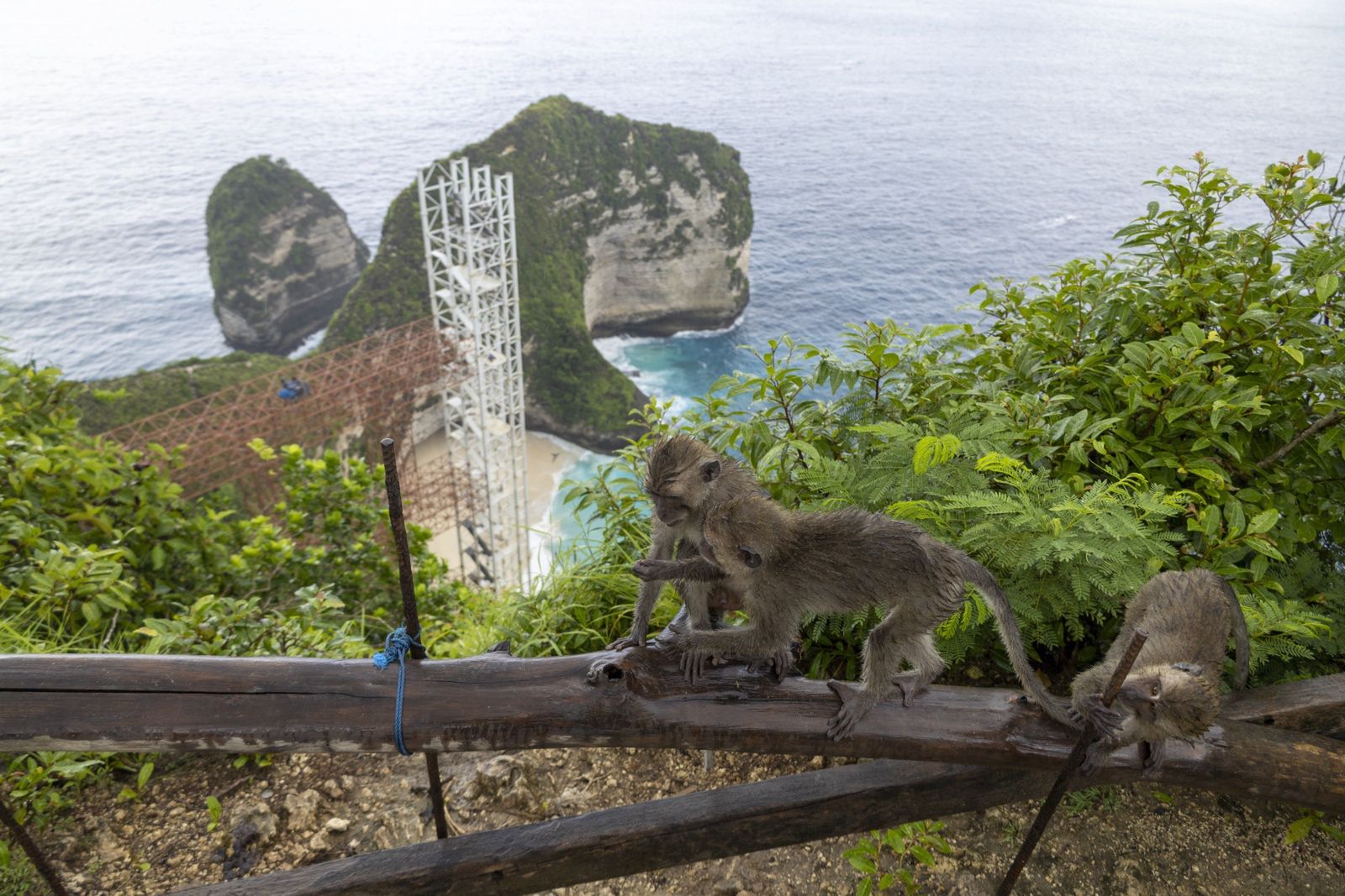 Winda nie wszystkim przypadła do gustu 