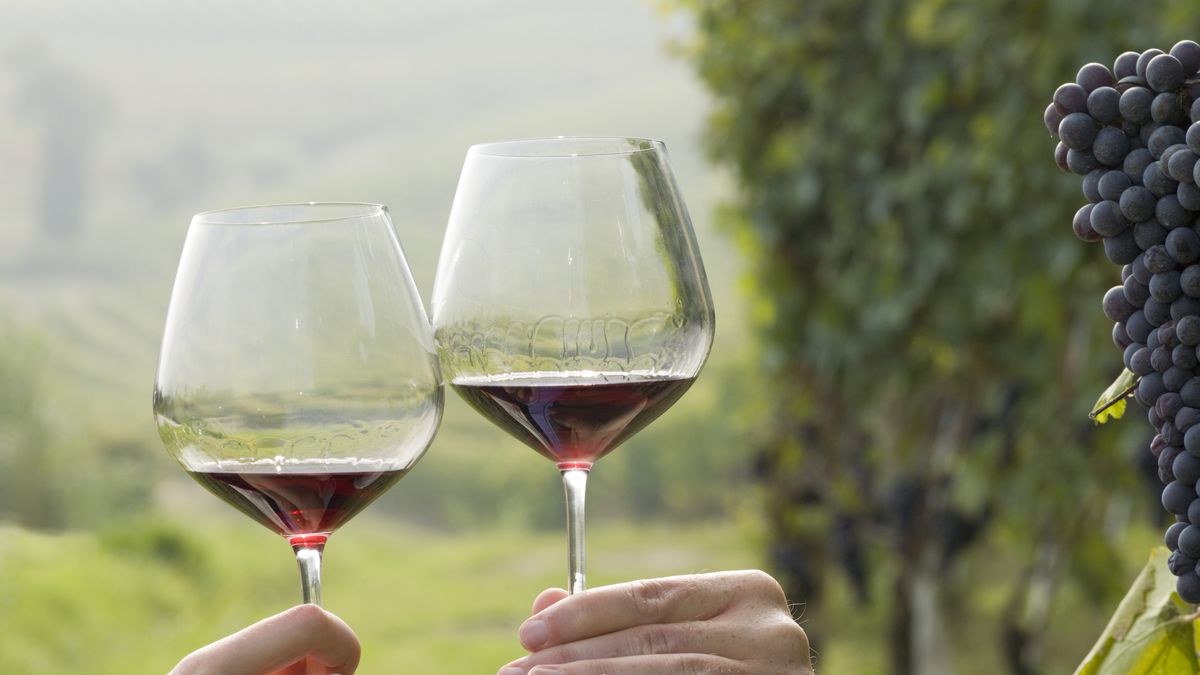 We Francji spada popyt na wino. Rząd oferuje pomoc