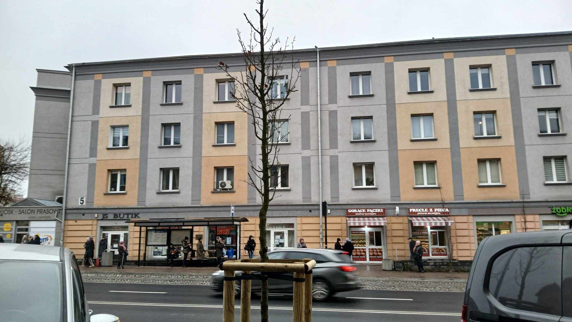 Nowe nasadzenia zieleni wzdłuż ulicy Sienkiewicza