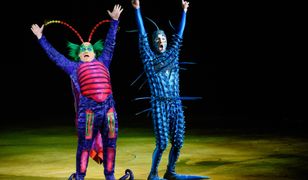 Recenzja Cirque Du Soleil. Adrenalina w rytmie samby