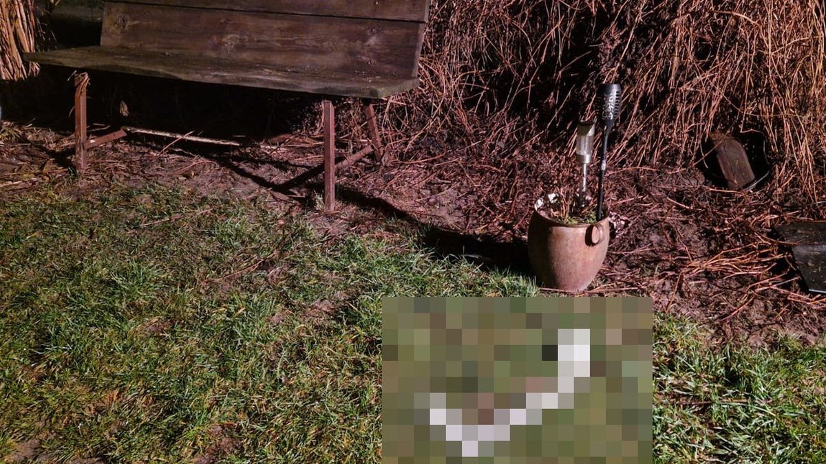 Awantura zakończyła się tragicznie.