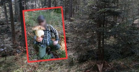 Borowik jak z bajki. Zdjęcie grzybiarza podbija Facebooka