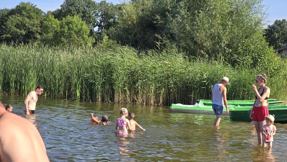 Jeśli działka przy jeziorze jest ogrodzona w sposób uniemożliwiający swobodne przejście wzdłuż brzegu, można zgłosić sprawę do Państwowego Gospodarstwa Wodnego Wody Polskie. Za grodzenie są wysokie kary!
