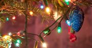 Lampki choinkowe - jakie wybrać, ile kosztują i ile prądu zużywają?