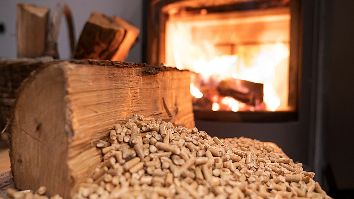 Porównujemy wydajność opałową gatunków drewna z pelletem 