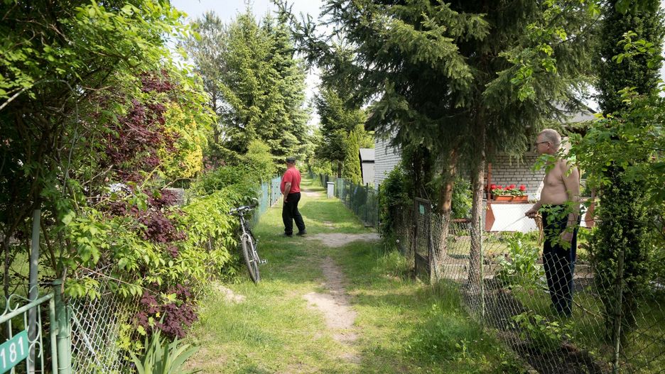 Sąsiedzkie konflikty na działkach wybuchają nawet z błahych powodów