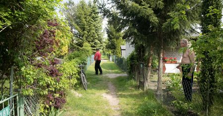 Konflikty Polaków na działkach. "Wyzwał moją córkę od niewychowanego bachora"