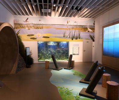 Wszystkiego trzeba dotknąć. Podróż po najmłodszym parku narodowym w Polsce